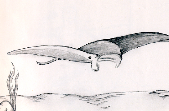 sketch art