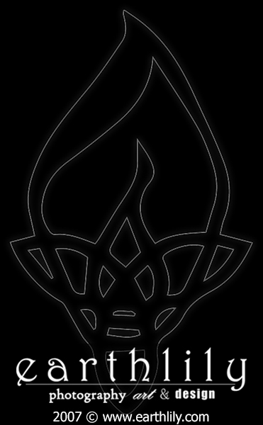 Celtic Lily Design