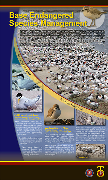 CP Beach Panel1