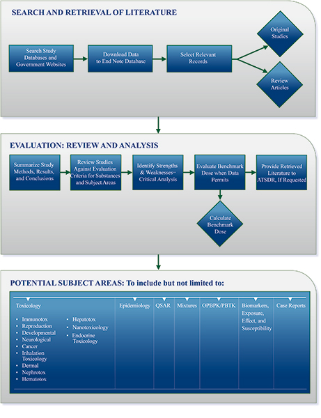 Search graphic