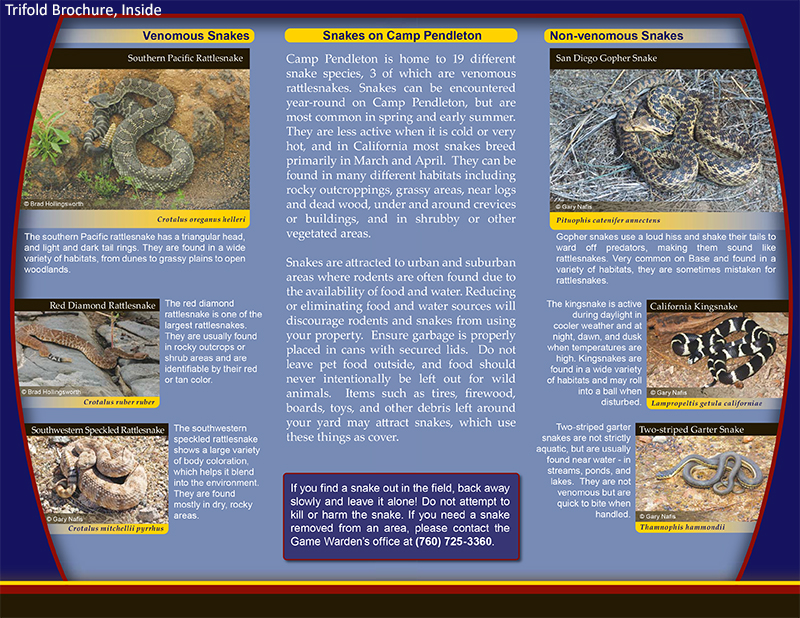 CP Snakes-2