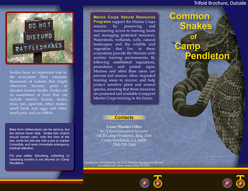CP Snakes