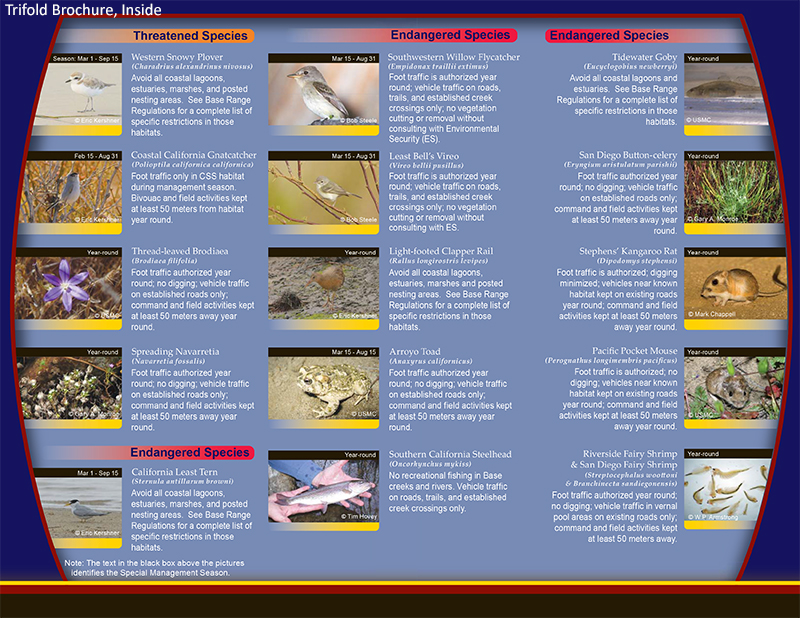 CP Species-2