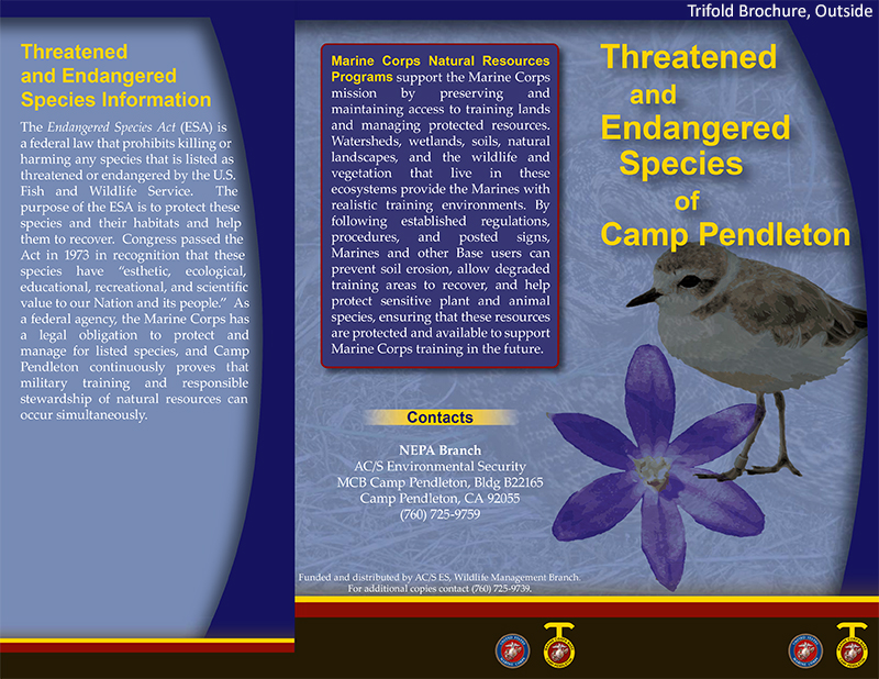 CP Species