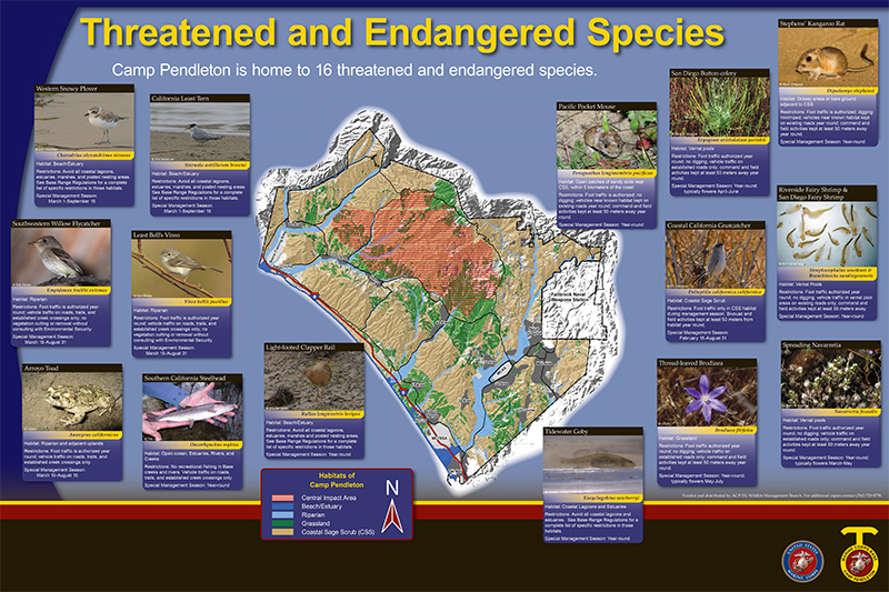 CP Species poster