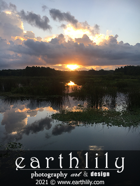Sunrise, FL