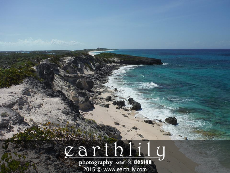 Bahamas Coast