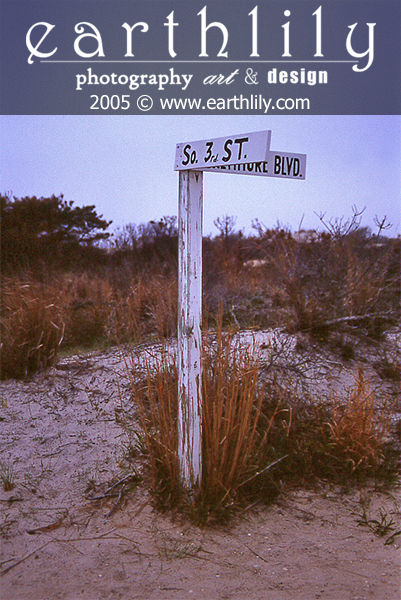 Beach Sign, MD